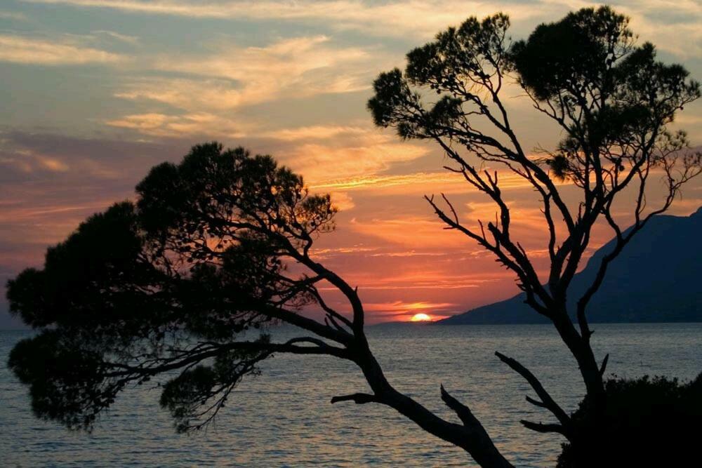 Apartmani Milka I Jozo Omiš Dış mekan fotoğraf