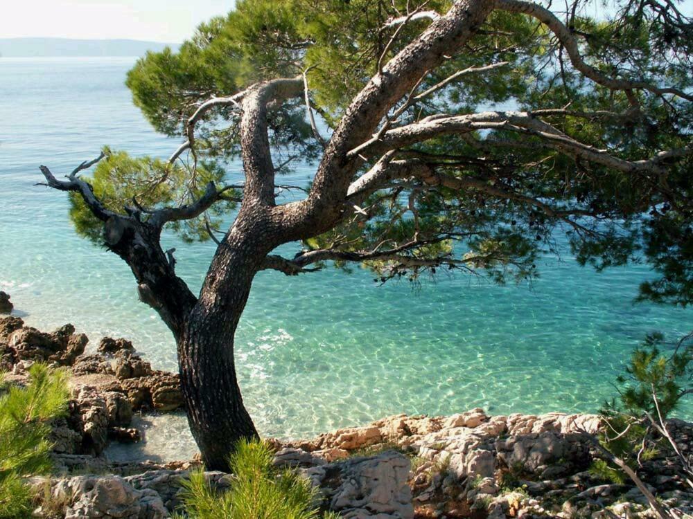 Apartmani Milka I Jozo Omiš Dış mekan fotoğraf