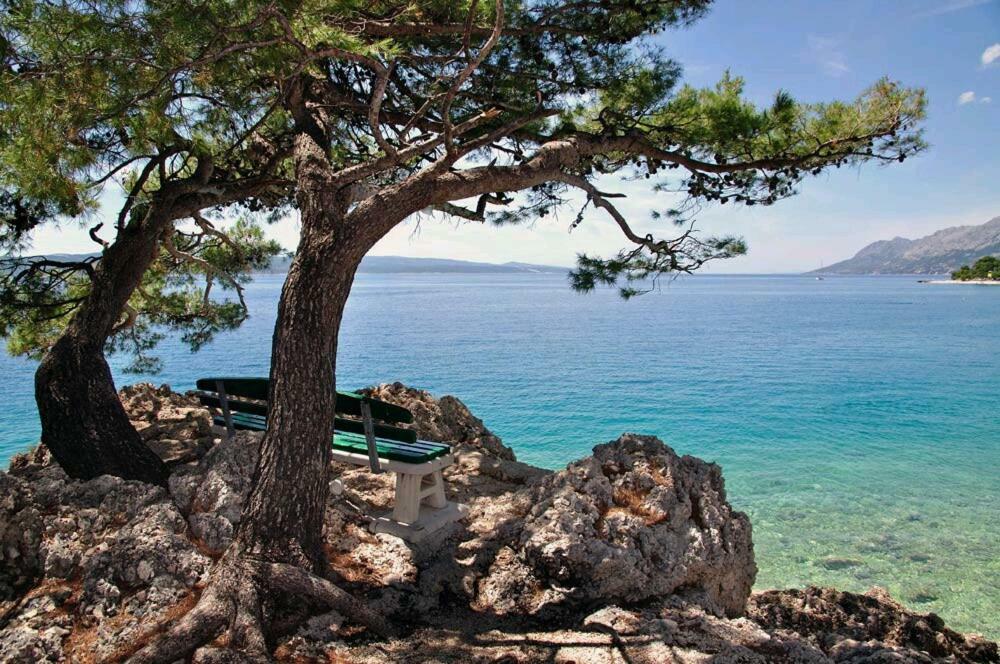 Apartmani Milka I Jozo Omiš Dış mekan fotoğraf